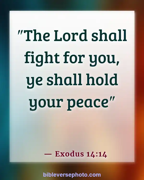 Morning Bible Verse With picture KJV (Exodus 14:14)