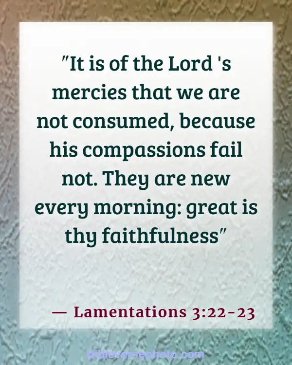 Morning Bible Verse With picture KJV (Lamentations 3:22-23)