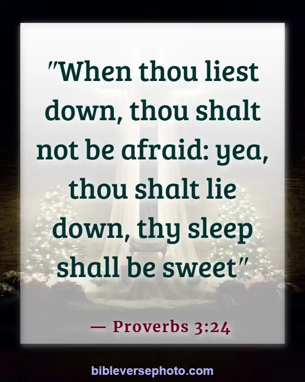 Night Bible Verse With picture (Proverbs 3:24)